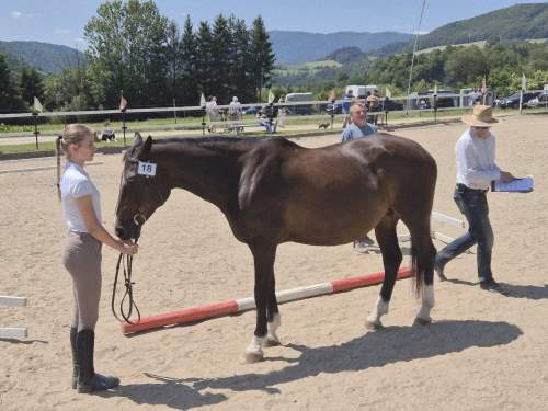 509600176_1248386453417973_5221165444659153723_n